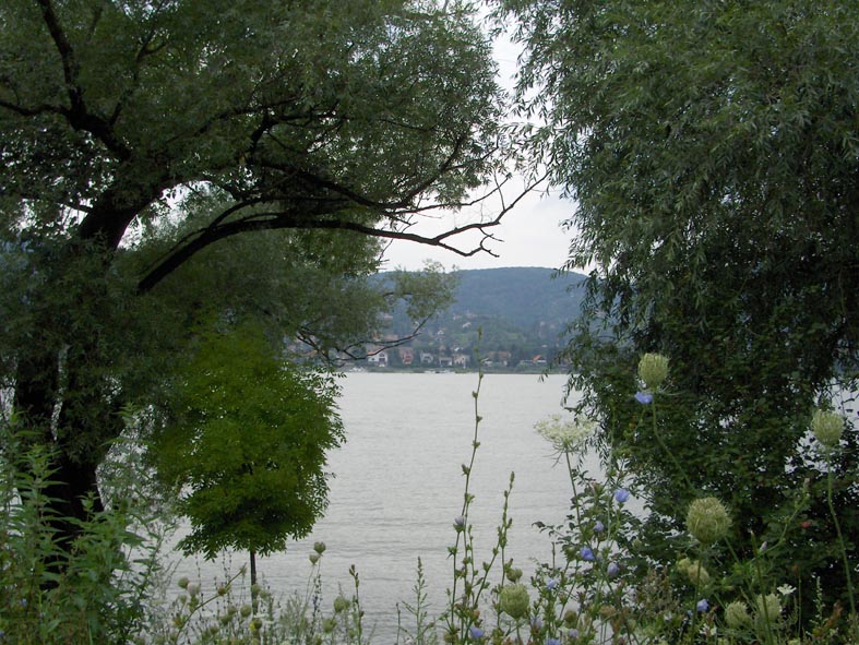 Ansa del Danubio #1