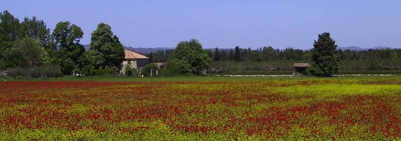 Provenza