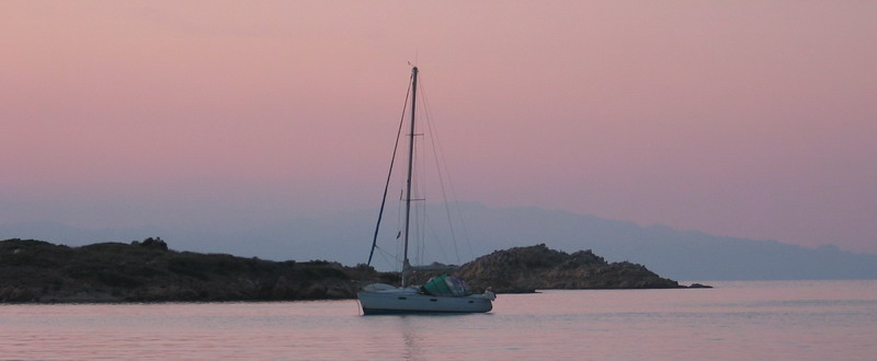 Vela