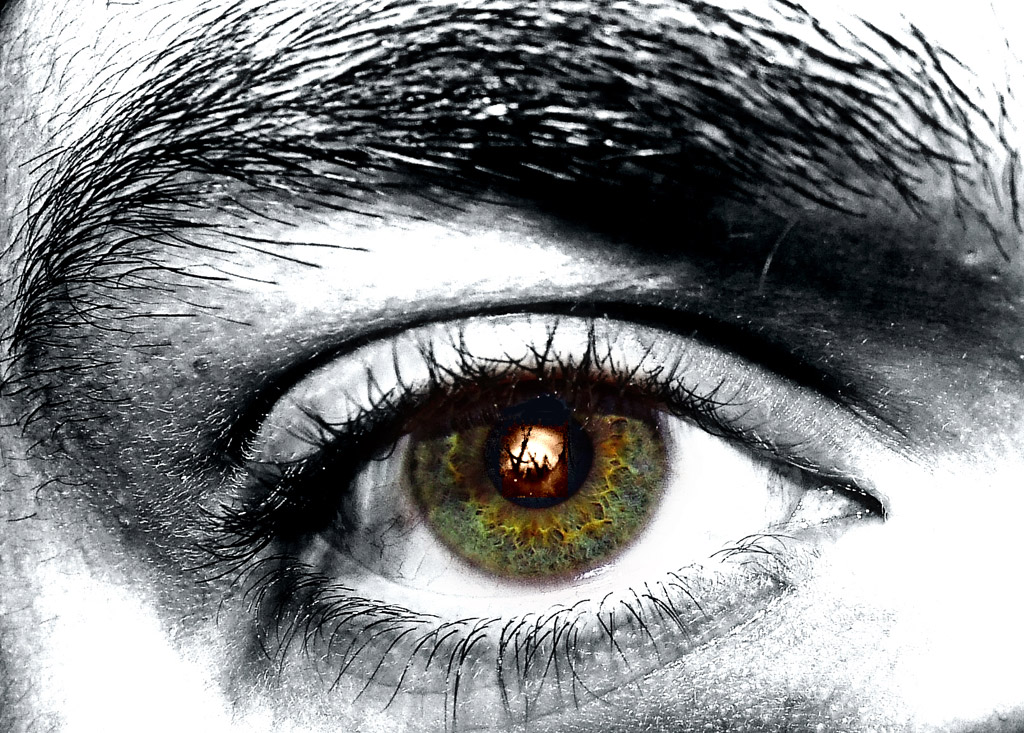Desolation in my eye