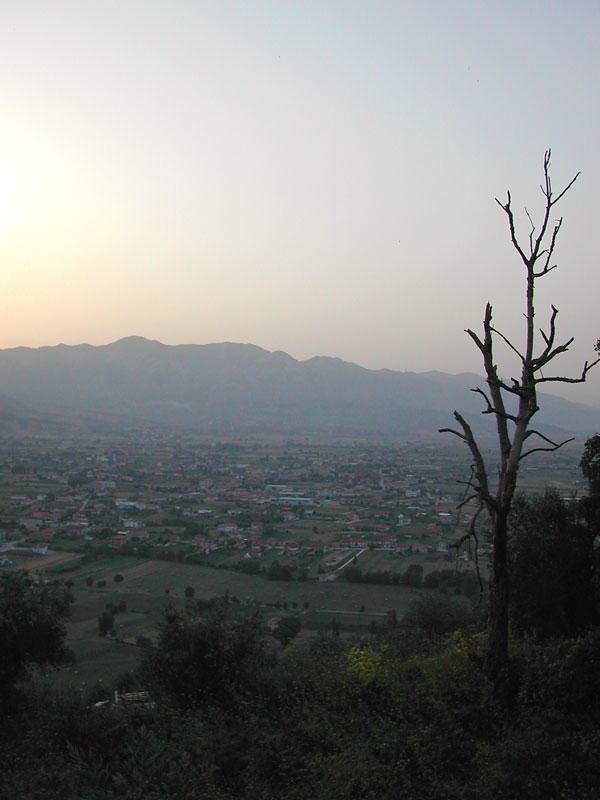 scorcio con albero