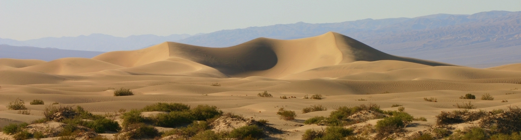 Dune