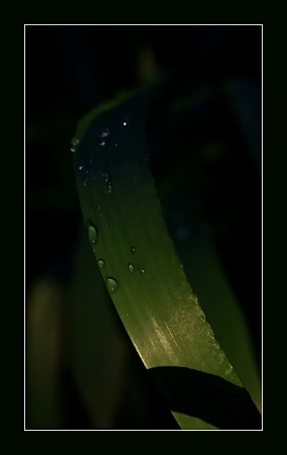 s.t.