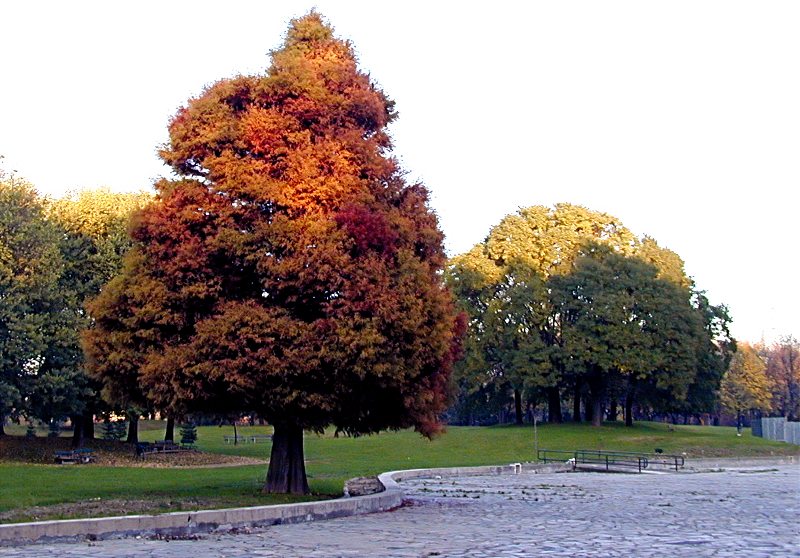 Autunno