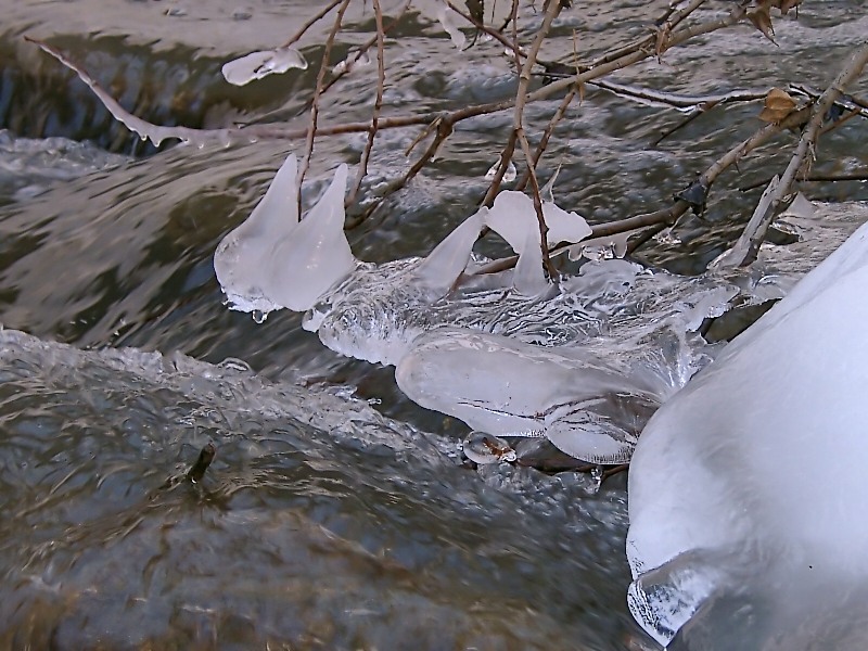 Pesce fuor d'acqua