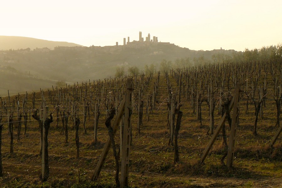 S.Gimignano al tramonto