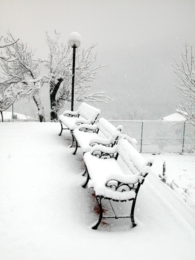 NEVE 2004