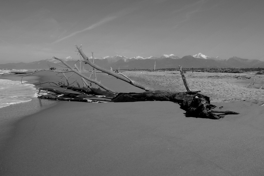 Versilia...fuori stagione