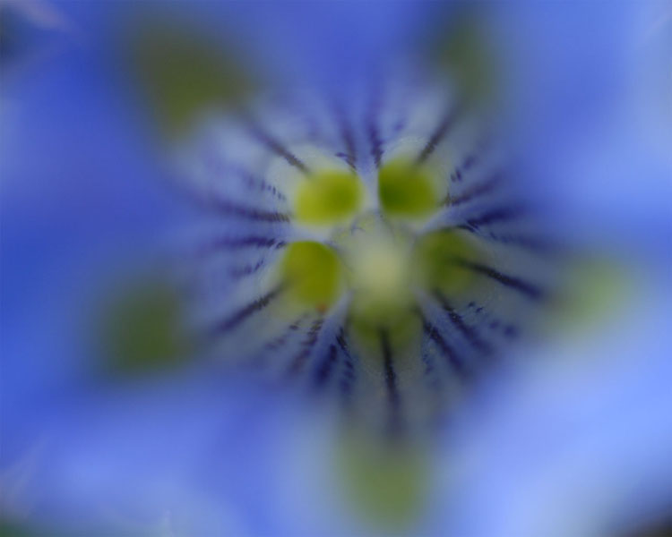 deep blue