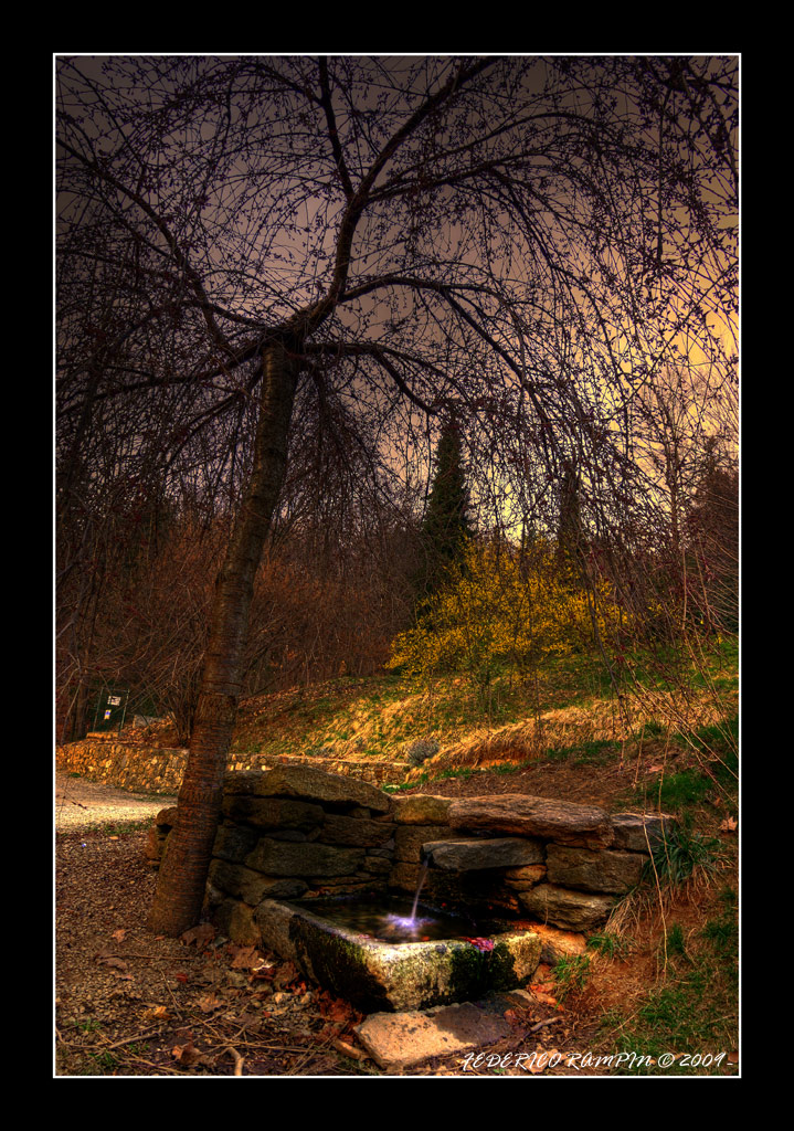 Parco della Burcina
