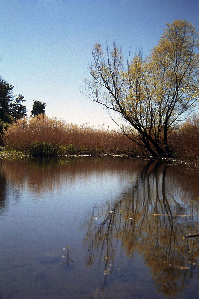 canneto