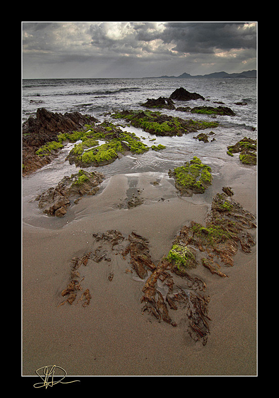 Seaside Landscape No2