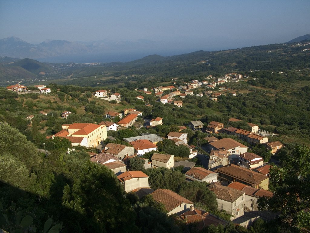 Torreorsaia