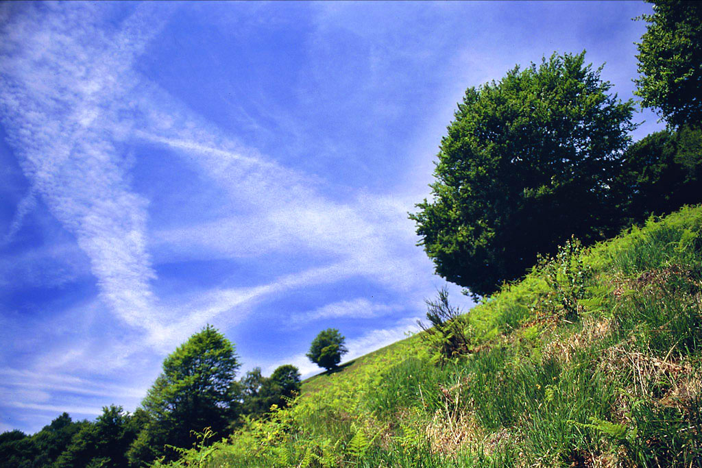 cielo striato
