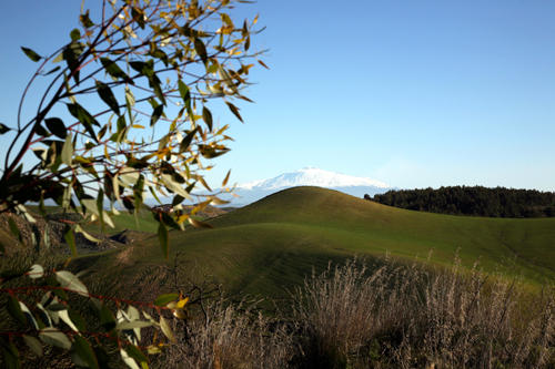 paesaggio collinare
