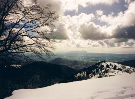 semprevisa