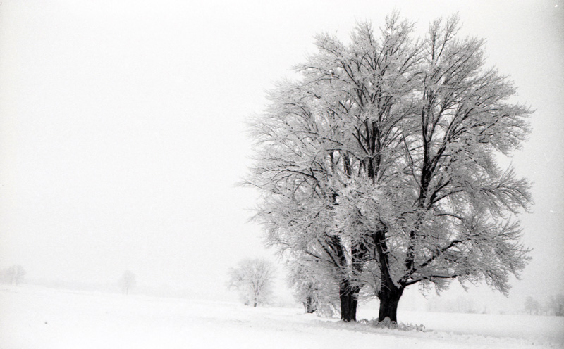 White......white.........white.....