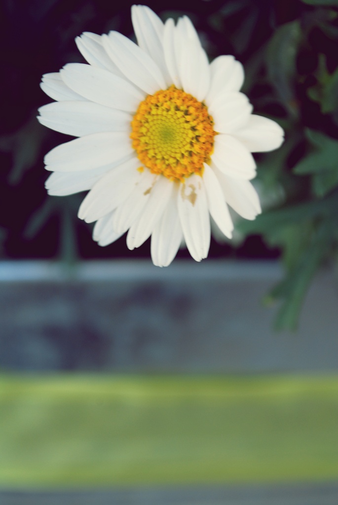 simple is beauty