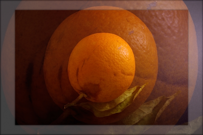 arancio prospettico