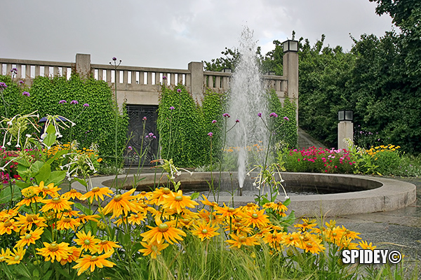 Fiori e fontana