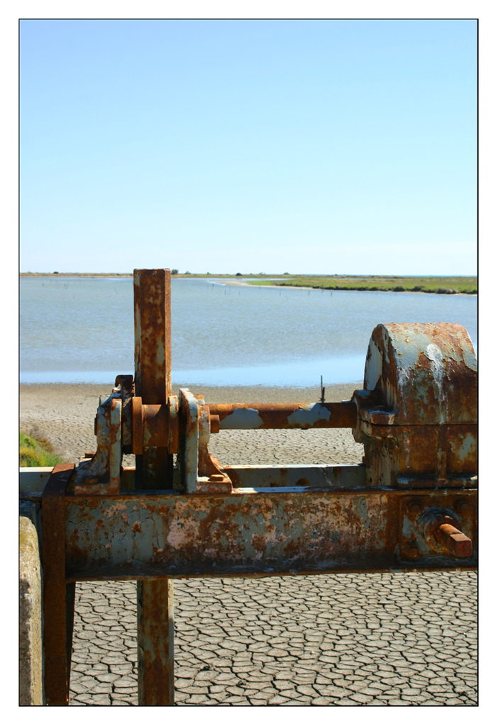 diga in camargue