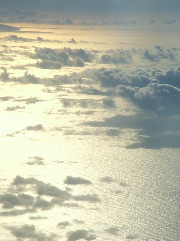 Mare