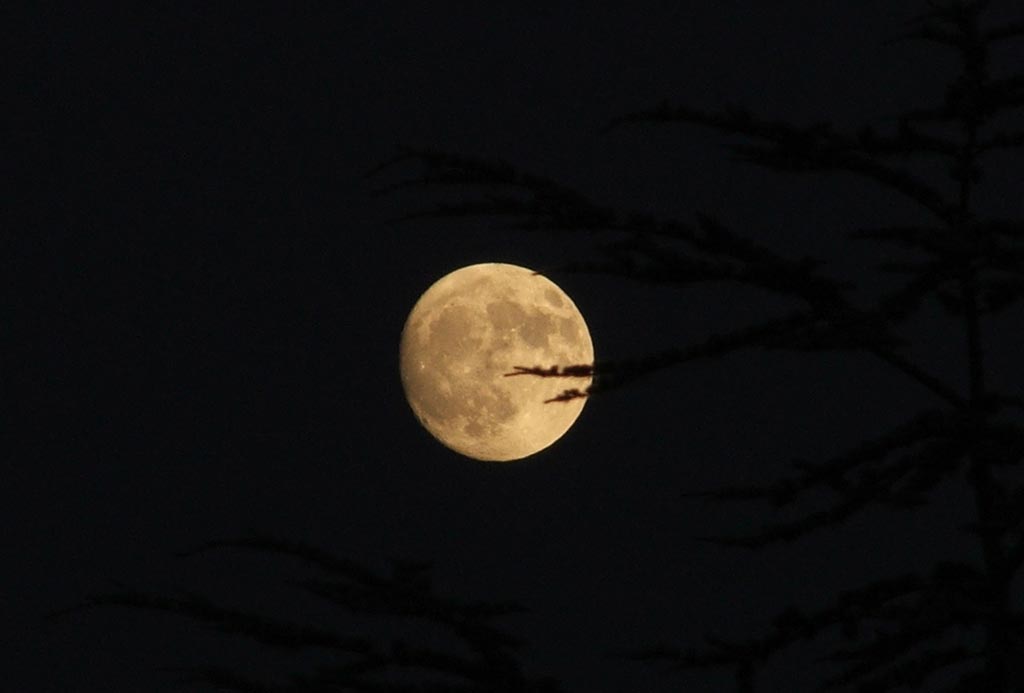 ferita alla luna...