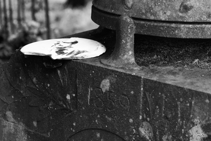 Viggi, il Cimitero Vecchio