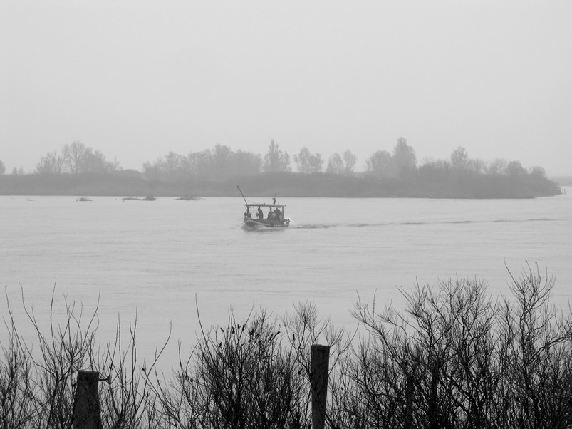 il delta del P