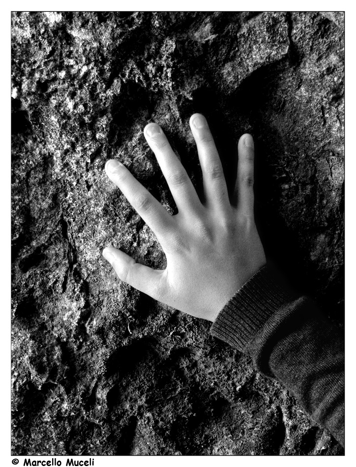 STONEHAND