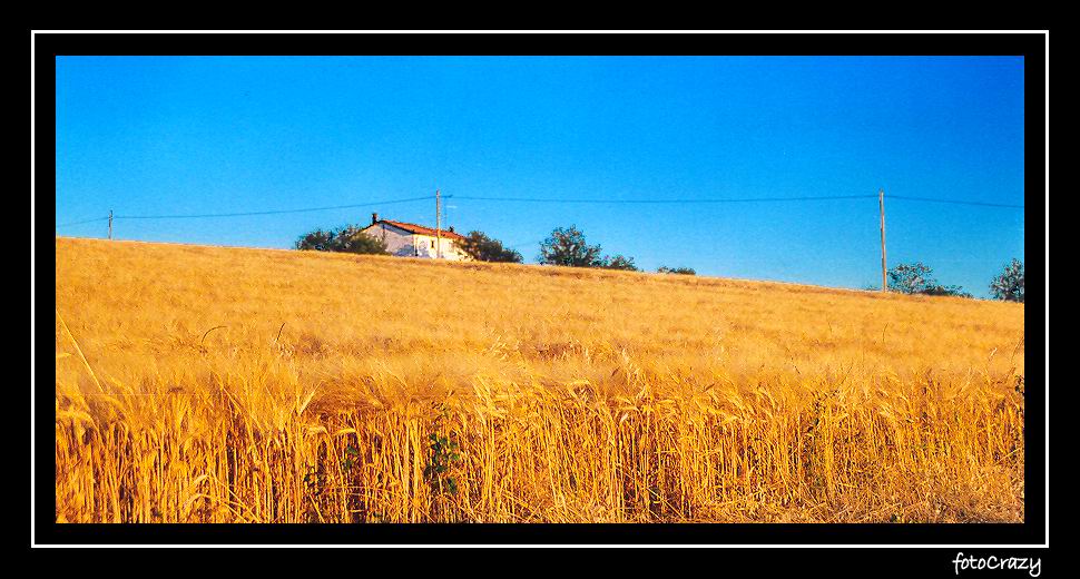 luglio