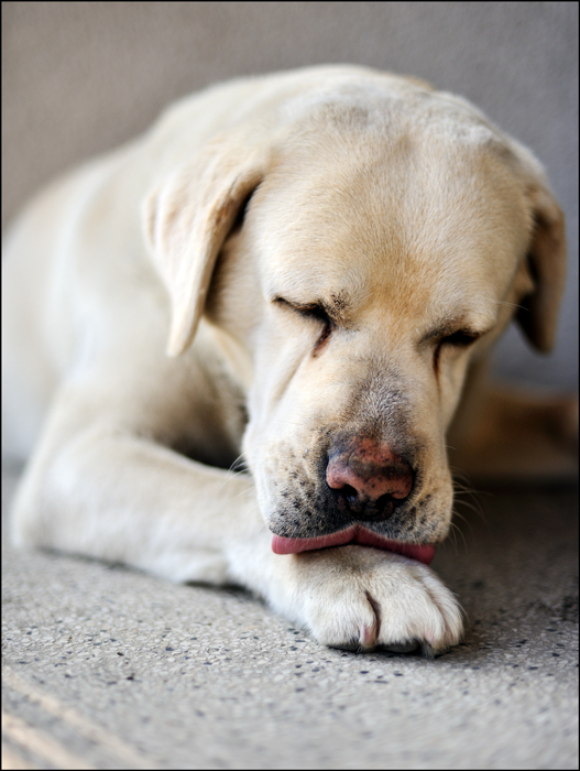 :-P