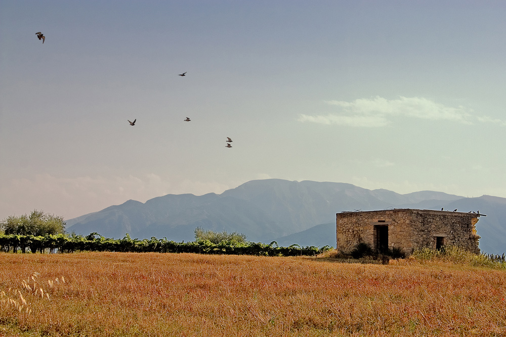 Dietro casa ...