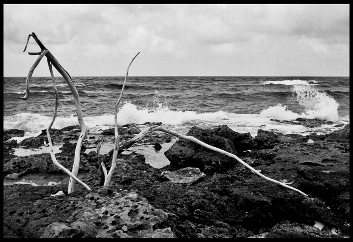 Osservando il mare