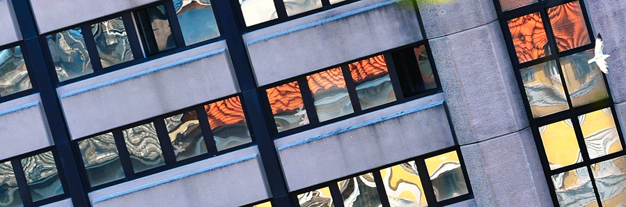Riflessi