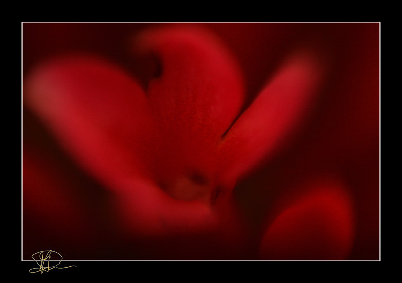 Macro Test No.1