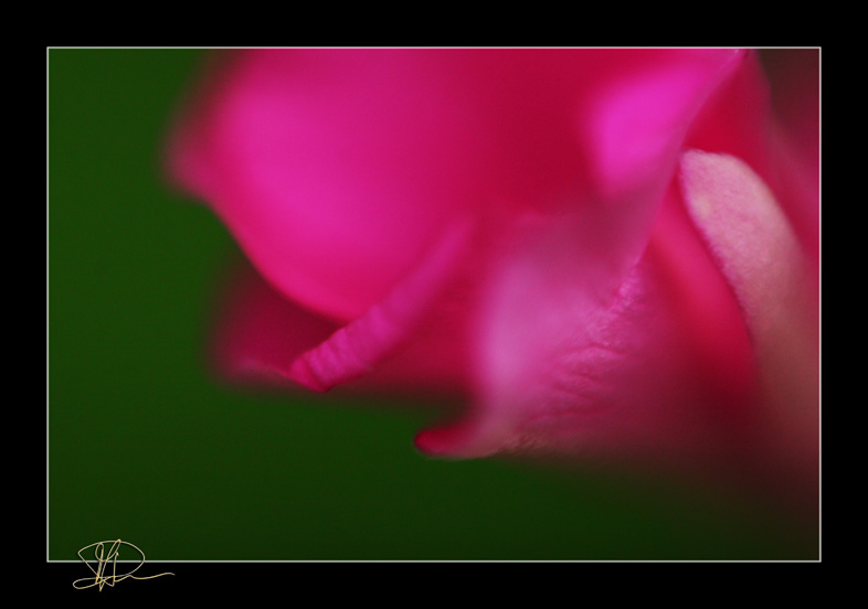 Macro Test No.2