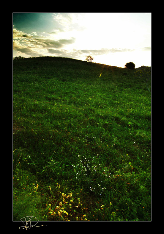 Sunset No.1