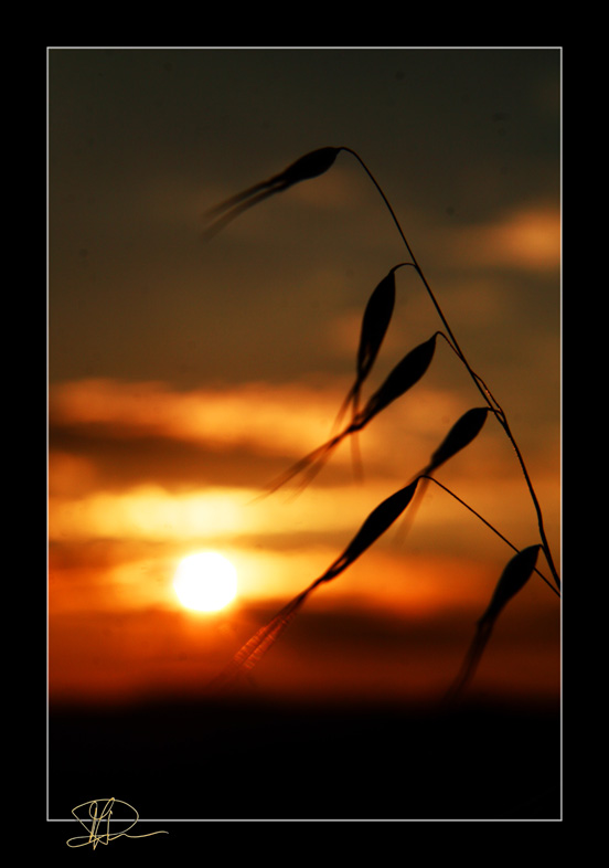 Sunset No.3