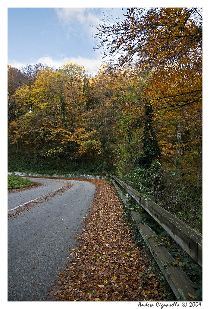 Autunno inoltrato
