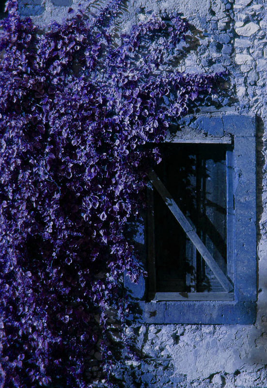 finestra viola
