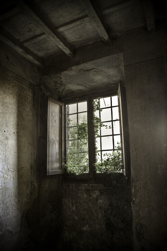 Old house 1