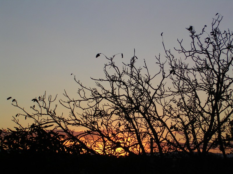 Autunno