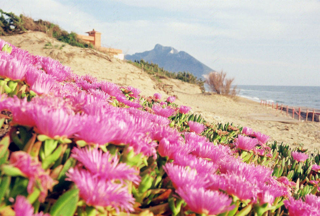 circeo