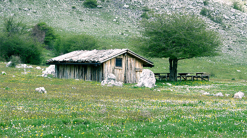 Villa con ampio giardino... :D