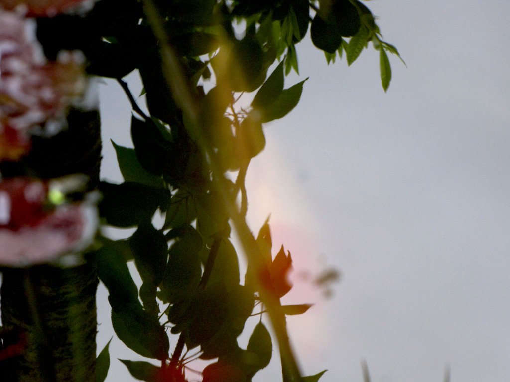Riflessione
