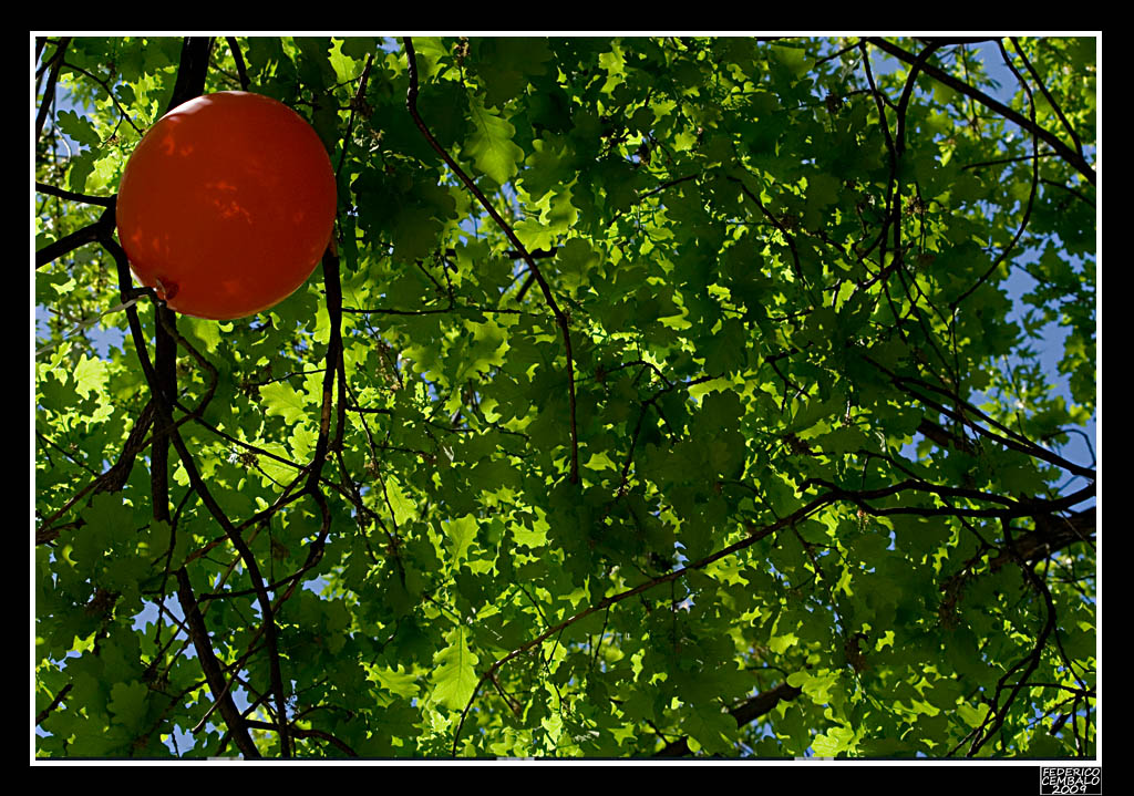 Palloncino