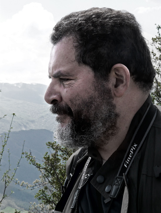 Orso