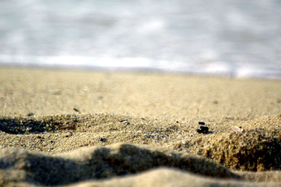 piccole dune