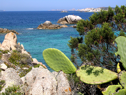 sardegna